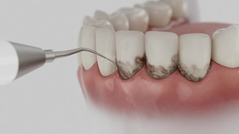 Reliable Dental contractor in Ruleville, MS by Dentist Open Now